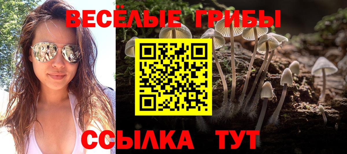 Псилоцибиновые грибы мухоморы  Вход с VPN  Протвино 